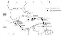 /album/bvnn-carto/cara%c3%afbes-jpg/